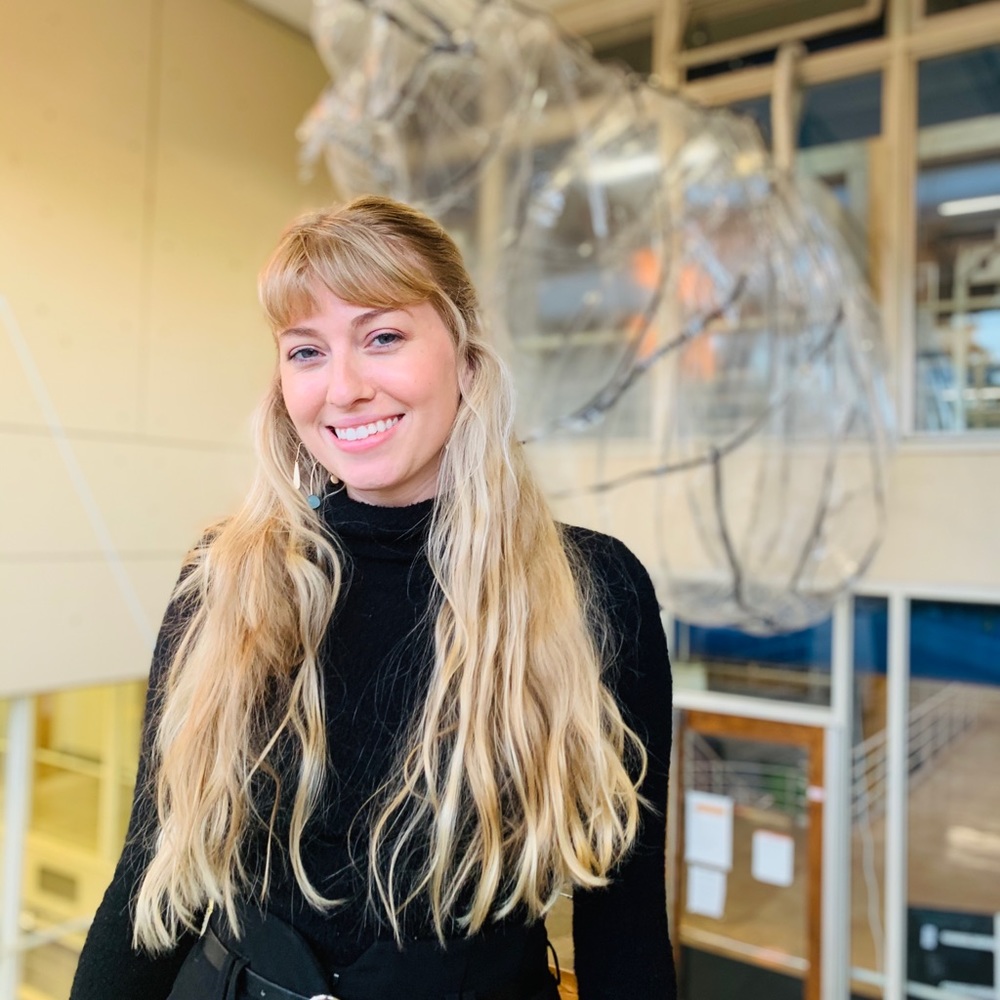 Meet your Posher, Lauren